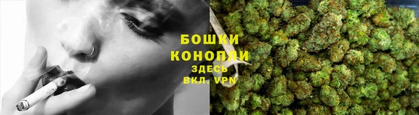 apvp Осташков
