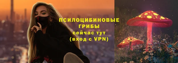 гидра Нягань
