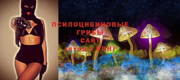 mdma Няндома