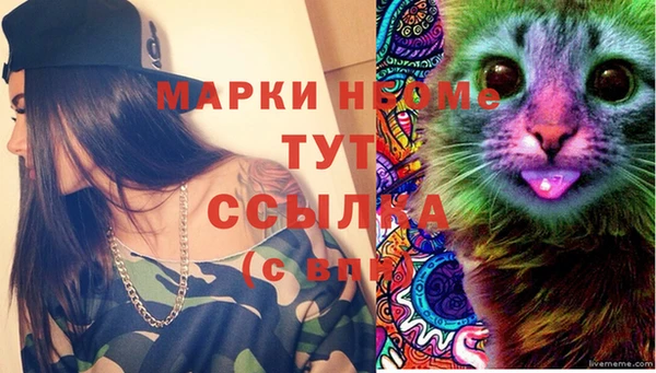 apvp Осташков
