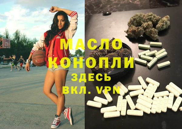 гидра Галич