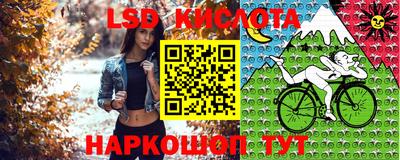 спиды Гай