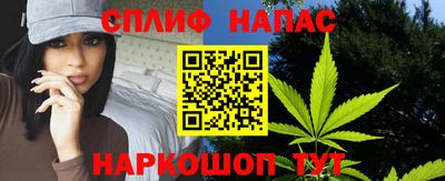 твердый Гатчина