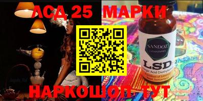 спиды Гай