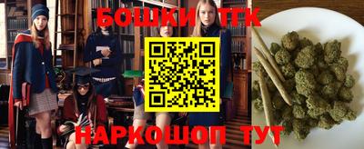 спиды Гай