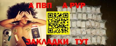спиды Гай
