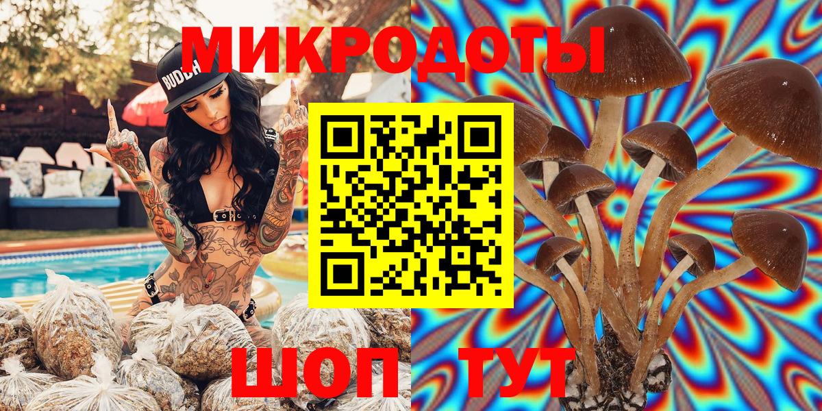 Псилоцибиновые грибы мухоморы Барабинск
